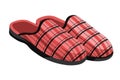 Male slippers, home footwear, isolated male pair