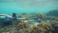 A male spearfisher with ask and speargun swimming in the ocean looking for fish.