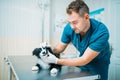 Male specialist examining dog, veterinary clinic