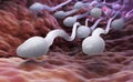 Male sperm cells Royalty Free Stock Photo