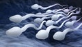 Male sperm cells