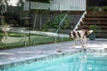 Male Springer Spaniel dog standing near backyard pool Royalty Free Stock Photo
