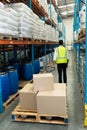 Male staff using pallet jack in warehouse Royalty Free Stock Photo