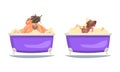 Male Sumo Wrestler and Dog Bathing in the Bathtub Washing Body with Soap Vector Set