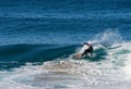 Surfer executing a frontside top-turn at Iluka. Royalty Free Stock Photo