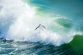 Male surfers enjoying the big wave in Oceanside in North San Diego, California, USA. Royalty Free Stock Photo