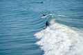 Male surfers enjoying the big wave in Oceanside in North San Diego, California, USA. Royalty Free Stock Photo