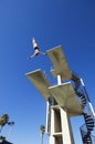 Male Swimmer Diving In Midair