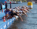 Male swimming competitors when the start signal goes Royalty Free Stock Photo