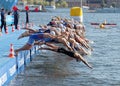 Male swimming competitors when the start signal goes Royalty Free Stock Photo