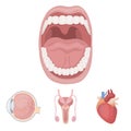 Male system, heart, eyeball, oral cavity. Organs set collection icons in cartoon style vector symbol stock illustration