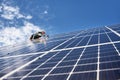 Man electrician installing solar panel under blue sky.