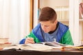 Male teenager concentrated doing homework