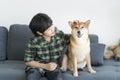 A male teenager sitting with a Shiba Inu on the sofa in the living room. Japanese dog Royalty Free Stock Photo