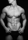 Male torso Royalty Free Stock Photo