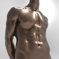 Male torso metallic colors