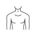 Male torso related vector thin line icon. Royalty Free Stock Photo