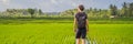 Male tourist with a backpack goes on the rice field BANNER, LONG FORMAT Royalty Free Stock Photo