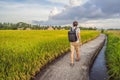 Male tourist with a backpack goes on the rice field Royalty Free Stock Photo