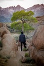 Male tourist enjoy travelling in Alablama Hills Royalty Free Stock Photo