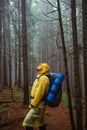 A male tourist in rainy weather stands in the middle of the mountains dressed in a yellow raincoat and carries a backpack, looking Royalty Free Stock Photo