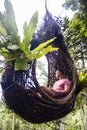 A male tourist is sitting on a large bird nest on a tree at Bali island Royalty Free Stock Photo