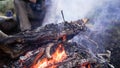 Campfire in the forest during trekking Royalty Free Stock Photo