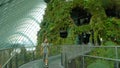 Male tourist walking at Cloud Forest, Gardens by the Bay in Singapore