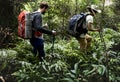 Male tourists trekking in a forest