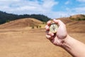 Male traveler man hand with compass on background of meadow mountains in summer Royalty Free Stock Photo