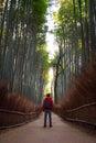 Male traveller standing in front of bamboo forest with photographer backpack.