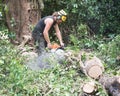 Male Tree Surgeon using a chainsaw on the ground