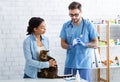 Male veterinarian doc suggesting effective pills to cat owner at animal hospital Royalty Free Stock Photo