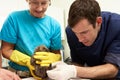 Male Veterinary Surgeon Examining Rescued Hedgehog