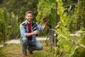 male vineyard owner. happy winegrower on grape farm. man harvester on summer harvest. Royalty Free Stock Photo