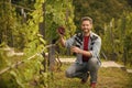 male vineyard owner. happy winegrower on grape farm. man harvester on summer harvest. Royalty Free Stock Photo