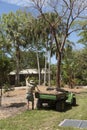 A male volunteer working in a botanical garden