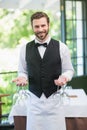 Male Waiter Holding Wine Glasses In The Restaurant