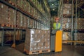 Male warehouse worker in helmet standing at the megastore