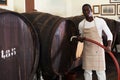 Male winegrower working in wine-vault