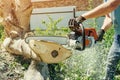 Male worker cuts wood with an electric chainsaw