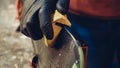 Male worker of ski service workshop doing sharpening and repair of skis. Sharpening ski edges with a manual side-edge tuning tool Royalty Free Stock Photo