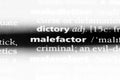 malefactor Royalty Free Stock Photo