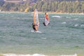 Males enjoying Windsurfing sail in Varamon Motala sea waves with trees coast