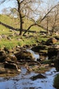 Malham Beck, Yorkshire Dales National Park Royalty Free Stock Photo