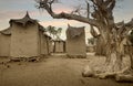 Mali, Africa - Dogon village and typical mud buildings