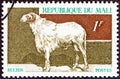 MALI - CIRCA 1969: A stamp printed in Mali from the `Domestic animals` issue shows a sheep, circa 1969.