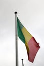 Mali flag at the Vlaggeparade in Rotterdam, NL