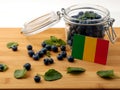 Malian flag on a wooden plank with blueberries on white