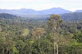 Maliau Basin Jungle Sabah Malaysia